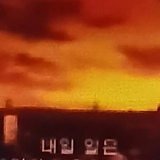 이터널슈가 쿠키