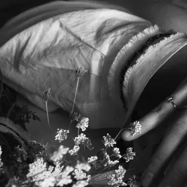 Profile image of 찬영