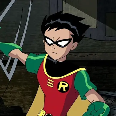 Profile image of Robin