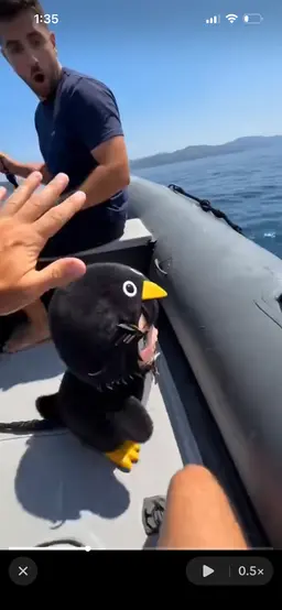 Profile image of 母親ググガガペンギン