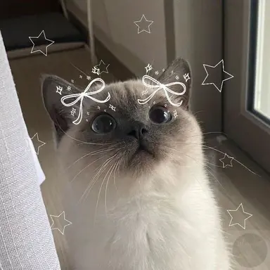 Profile image of はりん