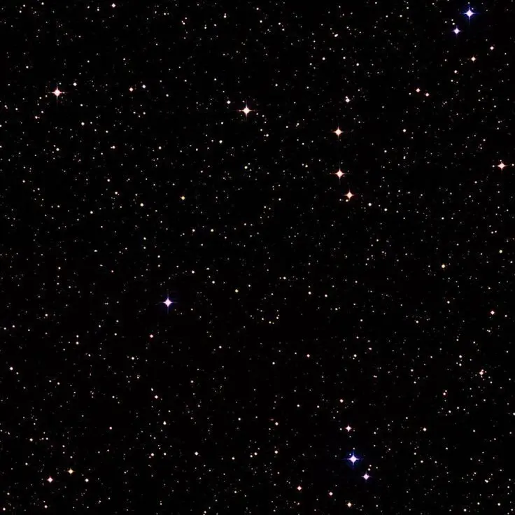 EliteArena2569의 고양이 집사