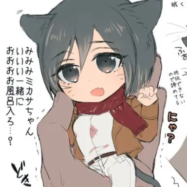 Profile image of 미카사