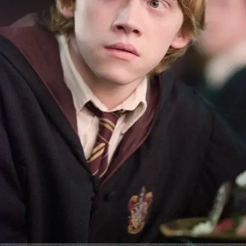 I_love_Draco_Malfoy의 Ron Weasley