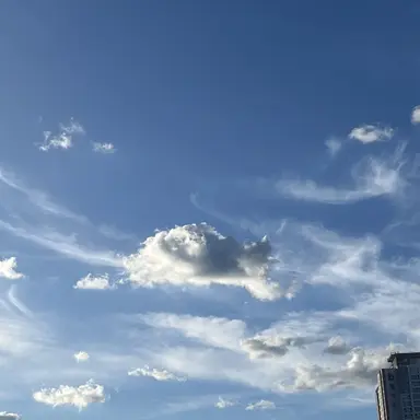 Profile image of 한지성