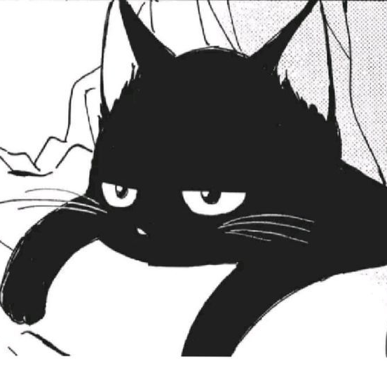 猫 - zeta