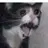 Crazycat0926