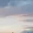 edamame_11