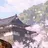 ShortQuake1179