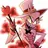 Nez_Hazbin