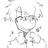 fried_chicken