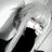 sins_k810