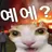 Sorry_0910