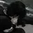 Border_Collie_Paternal