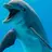 100dBdolphin