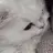 djfjciqlclopqofkfkeowkcjvdjdj