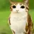 meowl1