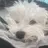 Doggy6767