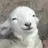 Sheepie