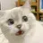 Alice_