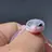 Gecko_makingclass