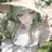 Hima__000