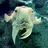 somomu_1019