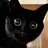 D-Meow