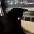 Cookie_0314