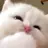 Wctdehxhf
