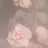 Aisaredaikuki