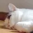 Hiruneko4689