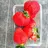 StrawberryLab
