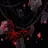 Red_spider_lily