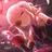 KAYAME_LARRKEY_0727