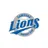 Samsung_Lions_7