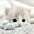 fish-cat