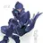D.code_aro-starlight-ia-ray