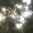 Ithink_thisisjustdream