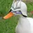 GUN_DUCK