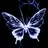 BlackRose__6027