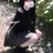 Nana__0409