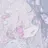 Nana__0409