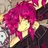 epicbloom623