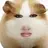 B_rabbit