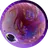 sasimino_stella