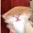 Poppycat