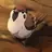 TweetTweetTweet