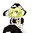 Harukin404