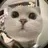 Borrowcat